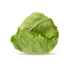 Cabbage isolated on white background with clipping path