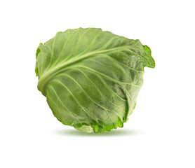 Fototapeta premium Cabbage isolated on white background with clipping path