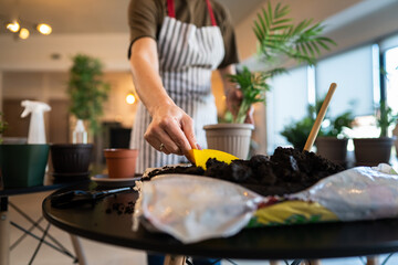 woman gardener florist take care grow cultivate plants at home