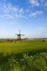 Fototapeta na wymiar windmill in Noord Holland, Netherlands
