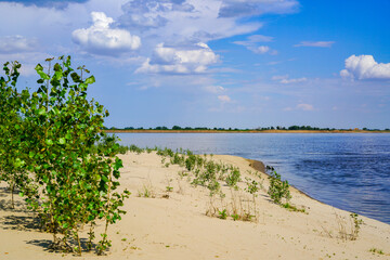 The Great Russian Volga River and its banks.