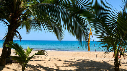 Naklejka na ściany i meble caribbean beach near puerto viejo costa rica