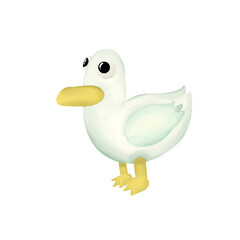 white duck with yellow mouth