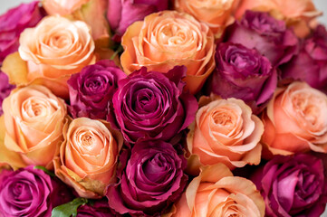 Obraz na płótnie Canvas Peach and purple roses closeup
