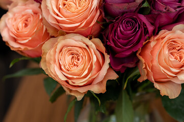 Peach and purple roses closeup