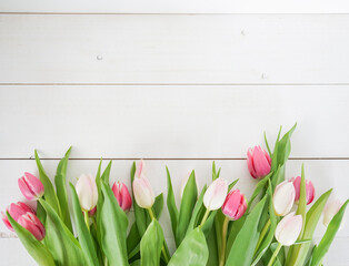 pink and white tulips on white wooden ground with space for text