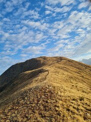 Vertical shot of the peak of a grass mountain under blue sky  on a sunny day