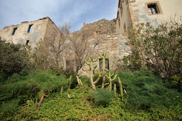 Monemvasia (Peloponnese, Greece) - Cacti and oleanders growing in front of old tenement houses.