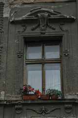 Fototapeta na wymiar window with flowers in Belgrade 