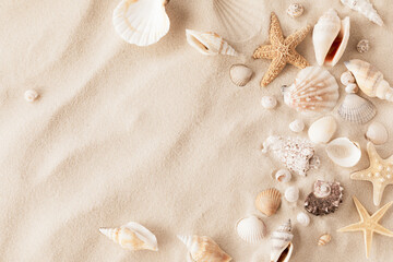 Sandy beach with collections of white and beige seashells and starfish as natural textured background for summer holiday and vacations concept.