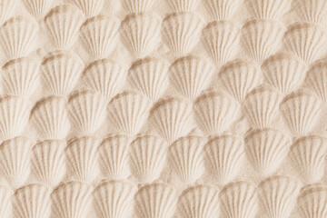 Top view of a sandy texture with imprints of mollusks as natural textured background