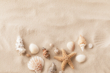 Fototapeta na wymiar Top view of a sandy beach with collection of exotic seashells and starfish as natural textured background for aesthetic summer design