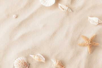 Top view of a sandy beach with exotic seashells and starfish as natural textured background for aesthetic summer design - obrazy, fototapety, plakaty