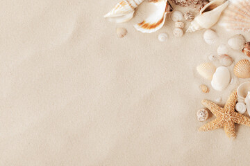 Top view of a sandy beach with collection of seashells and starfish as natural textured background...