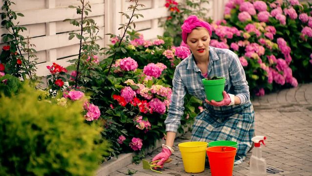 Smiling woman gardening in backyard housework hobby. Housewife gardening. Happy young gardener selecting hydrangea plants.