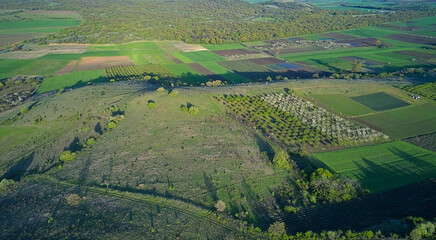 Planted green field in early spring with clear horizon and countryside aerial view
