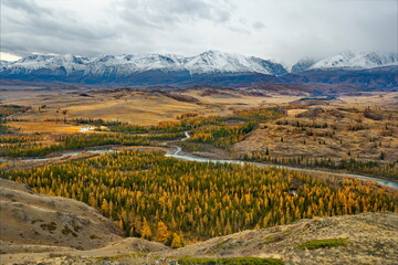 Russia. The South of Western Siberia, the Altai Mountains. Panorama of golden autumn in the valley of the Chuya River against the background of the North Chuya ridge in the area of the Kurai steppe.