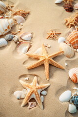Fototapeta na wymiar Muscheln und Seesterne auf dem Sand. Sommer Hintergrund mit AI erstellt