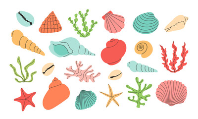 Set of colorful vector hand draw seashells, starfishes, corals, seaweed. Isolated design elements. Summer vacation collection, tropical beach shells.