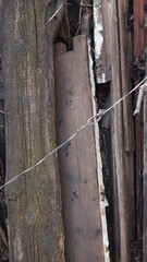 garden natural backgrounds