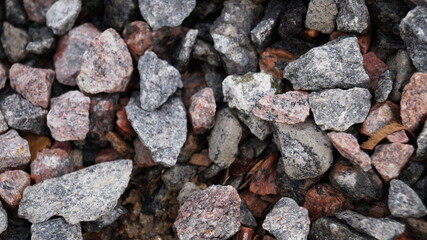 garden natural backgrounds