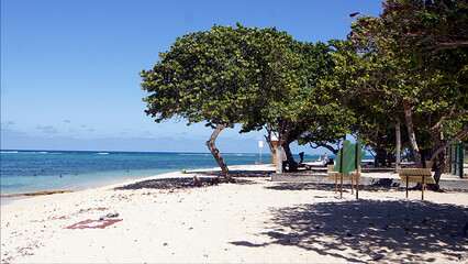 Sainte Anne beach, Martinique Island, France