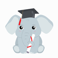 Obraz premium Cute baby elephant holding diploma. Elephant calf in academic hat isolated on white background