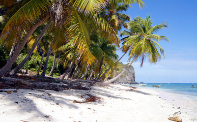 Fronton Beach, Samana Peninsula, Dominican Republic
