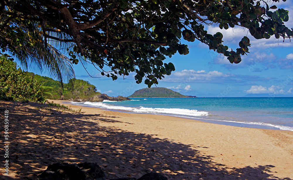 Canvas Prints Grande Anse Beach, Base Terre, Guadeloupe Island, France