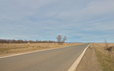 Narrow perfectly paved road with white stripes in the steppe