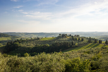 Fototapeta na wymiar Paesaggio toscano