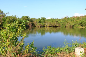 Fototapeta na wymiar Backwater View in the Vayalapra Floating Park in Kannur District in Kerala, India