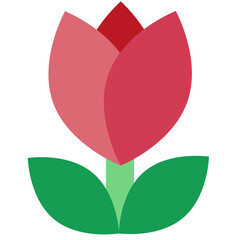 Tulip (red)