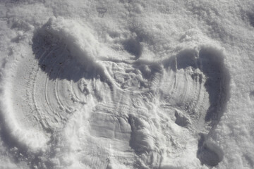 Snow angel made in the white snow