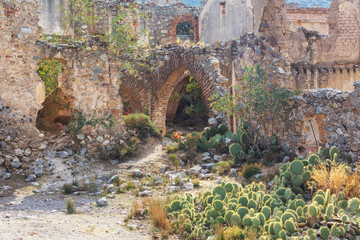 Ruins in Mexico