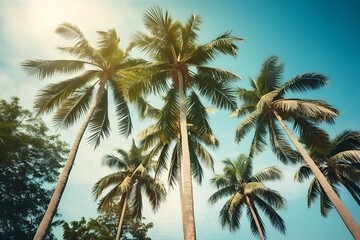 Fototapeta na wymiar Summer palm background, generative ai