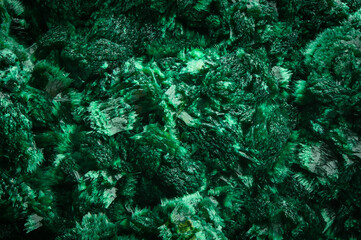 Fototapeta na wymiar Malachite. green macro detail texture background. close-up raw rough unpolished semi-precious gemstone