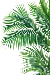 tropical leaf watercolor, generative ai