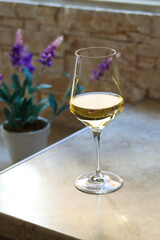 A glass of white wine on the kitchen table in front of the window with a purple flower on the back on a sunny day. Close up of a shining glass of white wine on a table with copy space