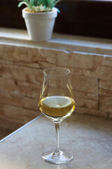 A glass of white wine on the kitchen table in front of the window with a flower on the back on a sunny day. Close up of a shining glass of white wine on a table with copy space for text