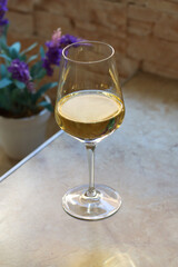 A glass of white wine on the kitchen table in front of the window with a purple flower on the back on a sunny day. Close up of a shining glass of white wine on a table