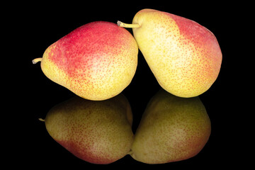 Two organic pears, close-up, on a black background.