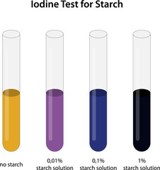 Iodine Test for Starch 