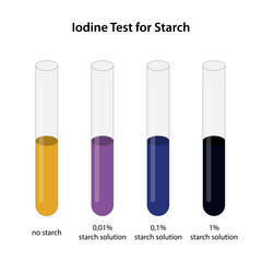 Iodine Test for Starch
