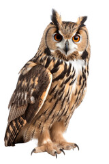 great horned owl isolated on a transparent background, generative ai