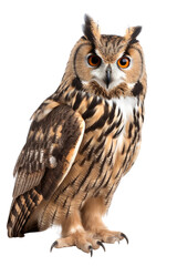 Obraz premium great horned owl isolated on a transparent background, generative ai