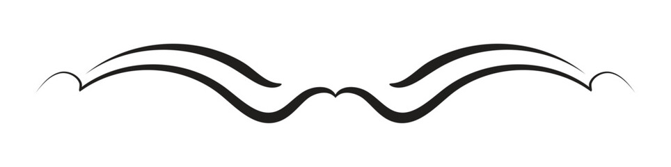 Divider isolated on white background. minimalist divider. Vector illustration