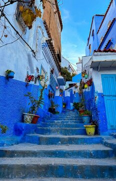 Staircase with flowers in a street of the blue city of Chefchauen in Morocco