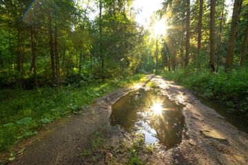Fototapety na wymiar - Fototapeta24.pl