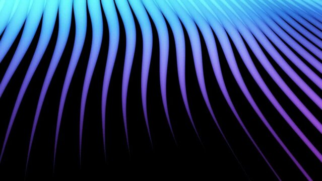 Multicolor striped background in loop animation. Abstract colorful background waves and lines. Minimal digital wallpaper